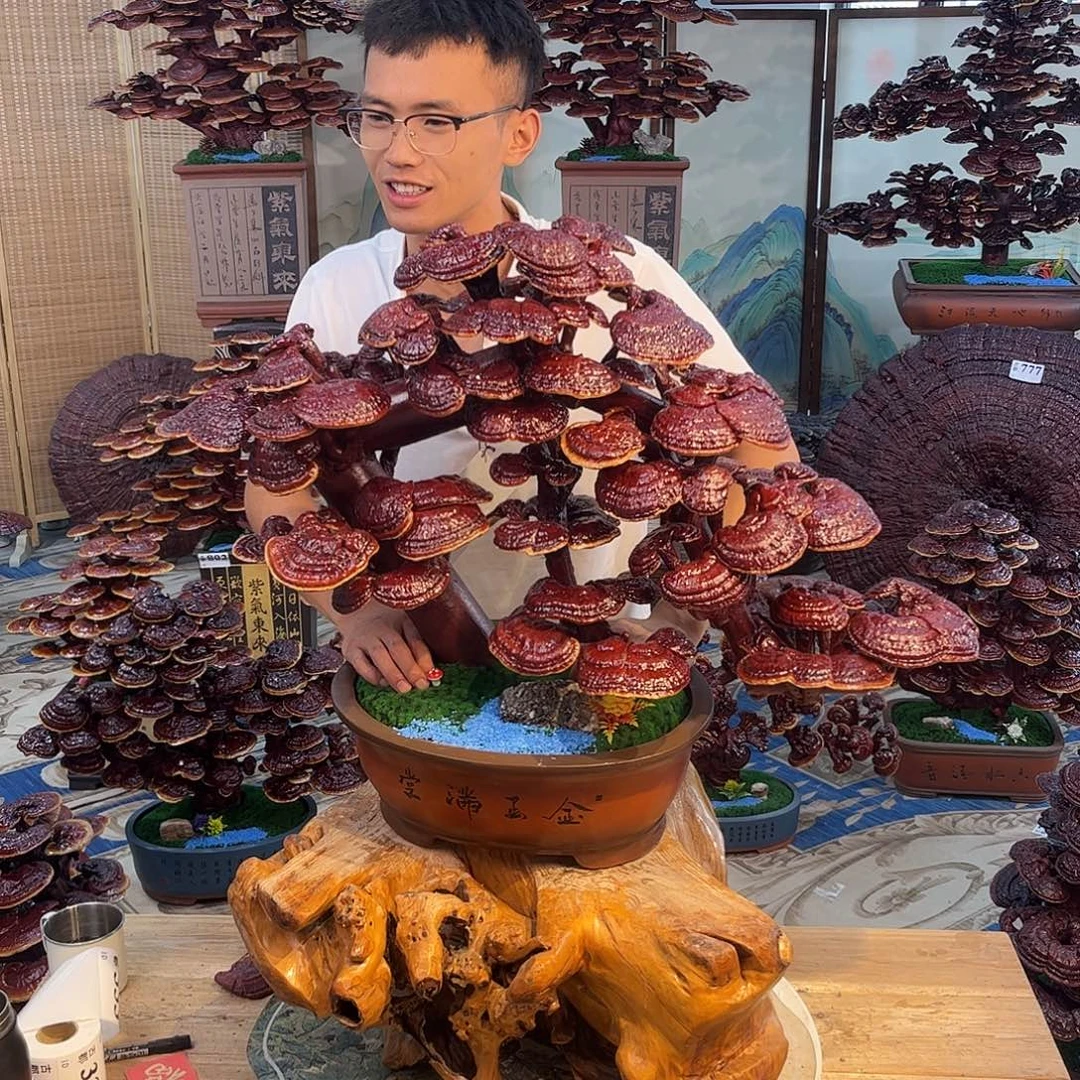 无花朵888888888888