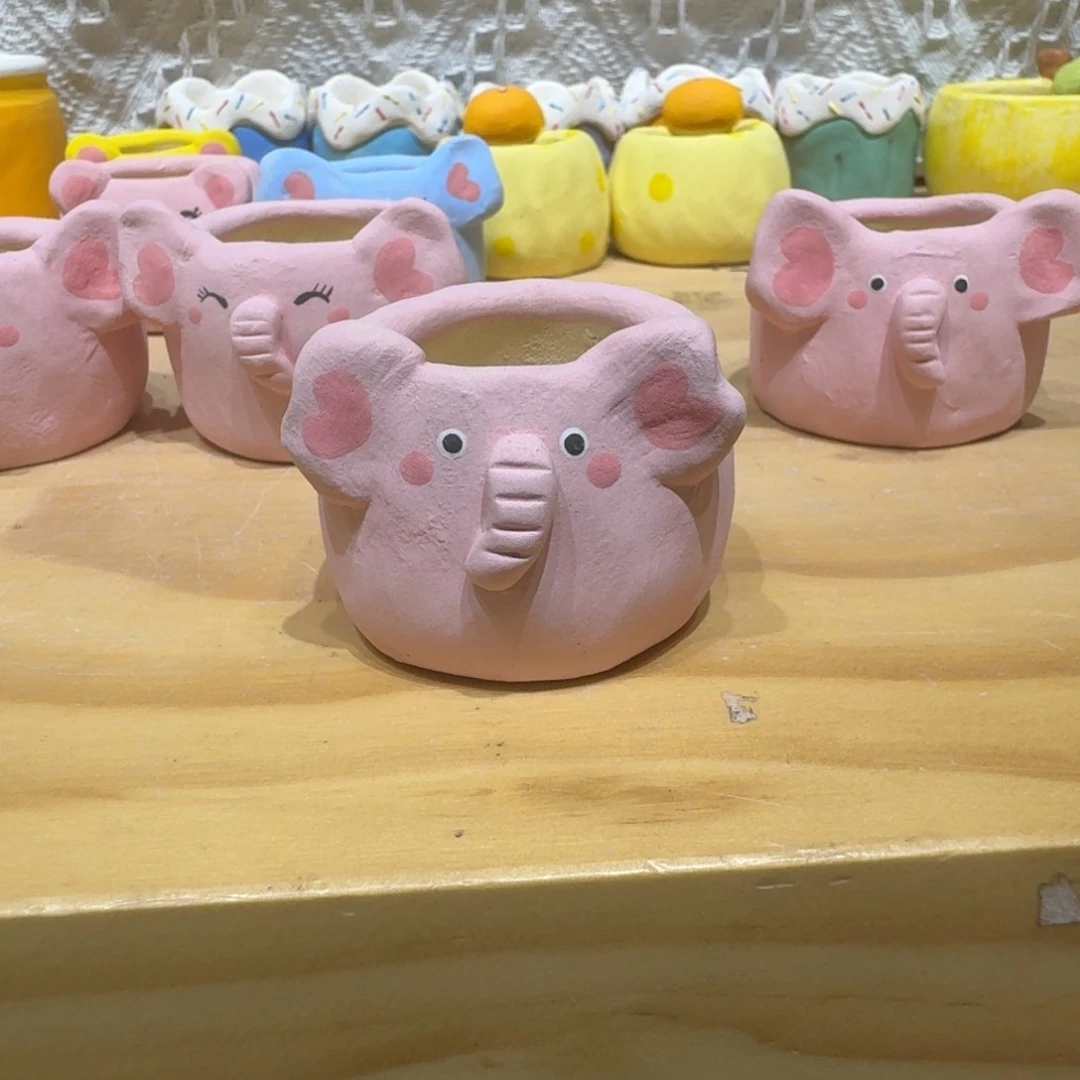 红陶点****?0308-62盆盆盆