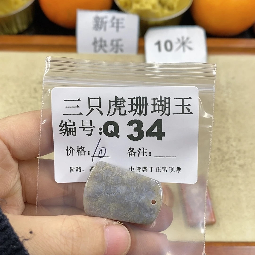 硅化珊瑚（珊瑚玉）1未镶嵌G**a