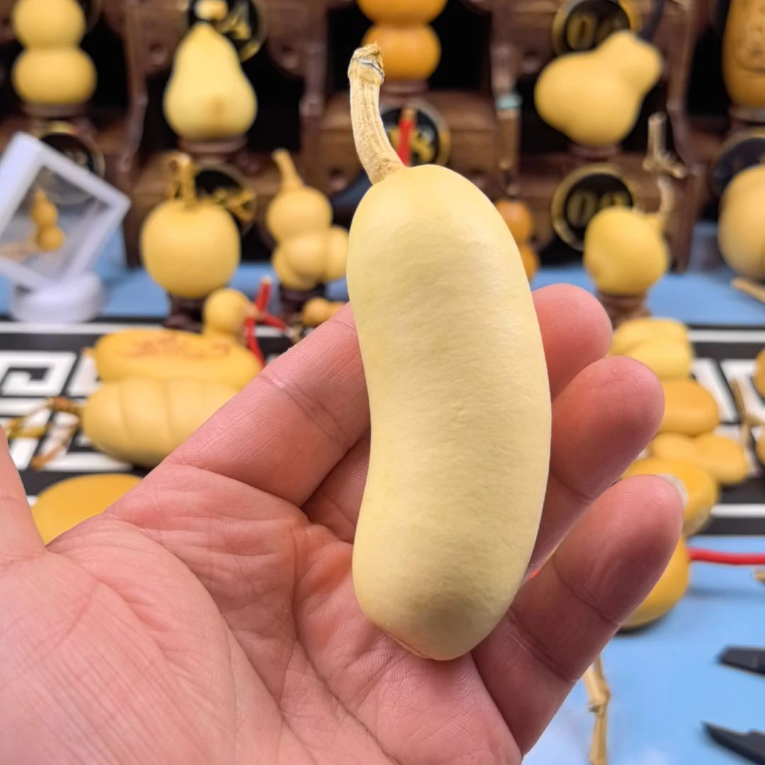 葫芦葫芦葫芦葫芦