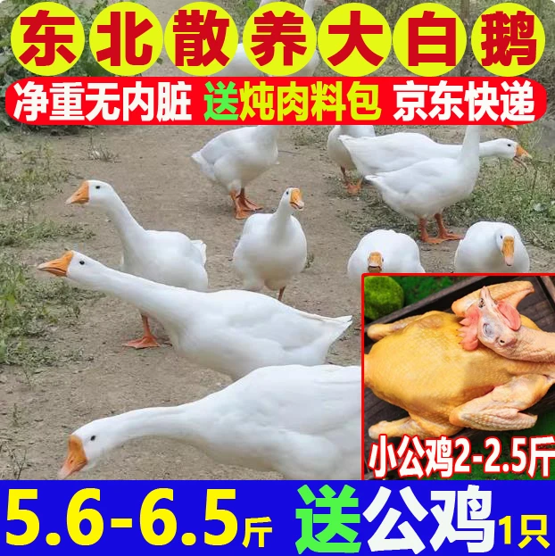 东北大鹅6斤左右【送公鸡】送炖肉料2包散养速冻净重无内脏