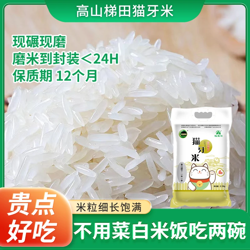 香糯正宗猫牙米24新米长粒香米现磨现发高山梯田米优质米真空