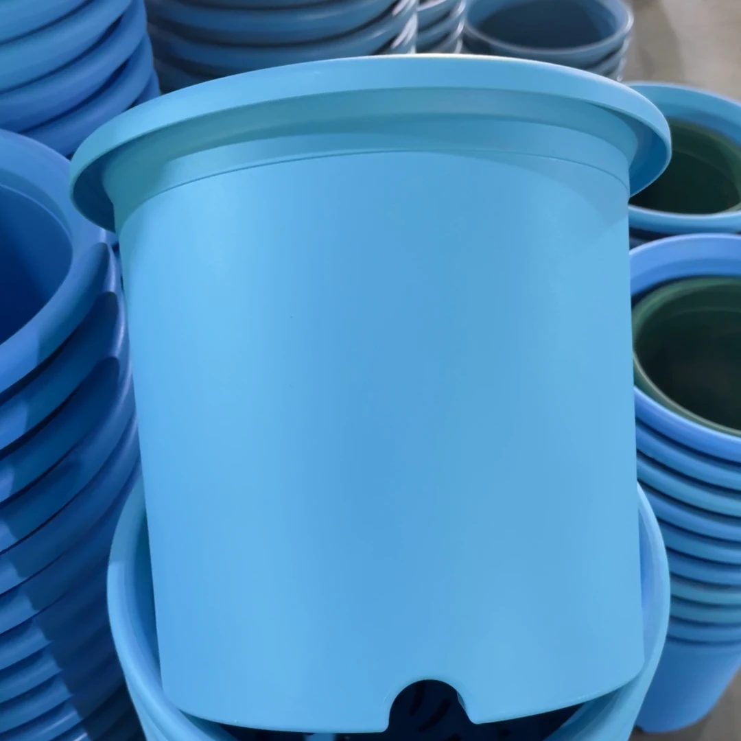 特价6#无拖天蓝7个