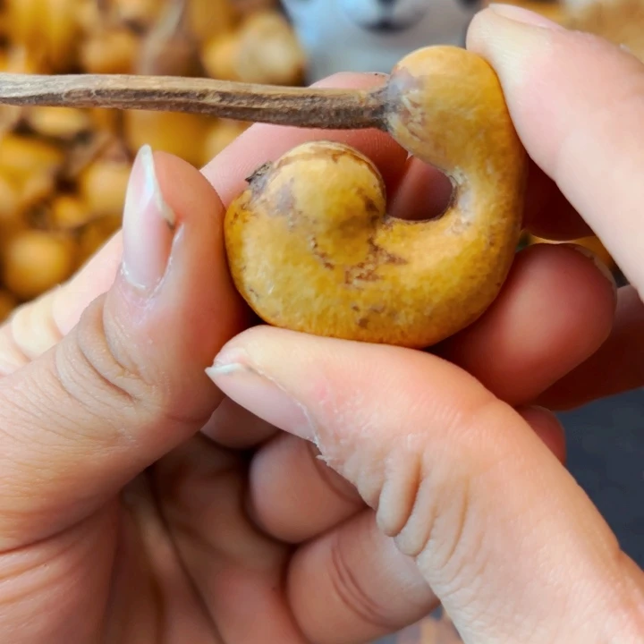 .*七88888888888888888888