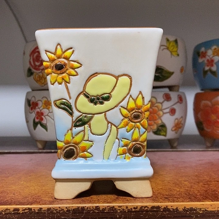 韩式多肉植物花盆