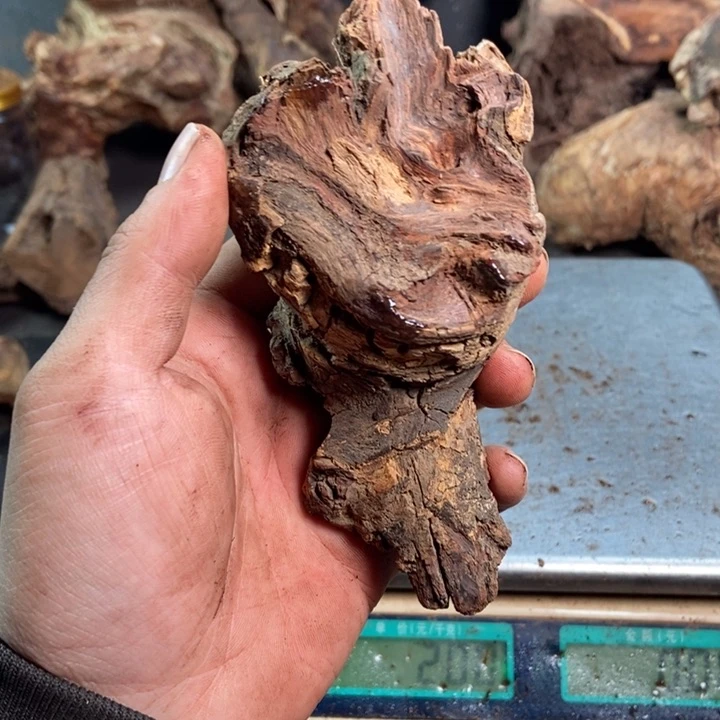 黄花梨/降香黄檀夏**风