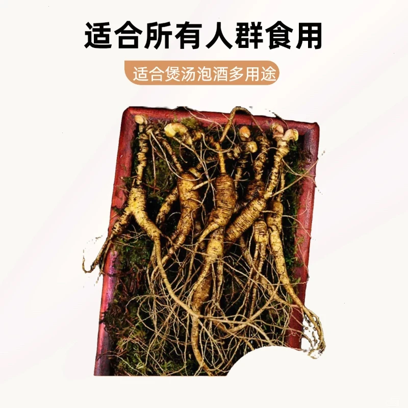 长白山脉林下参残参有红皮可用于泡酒煲汤