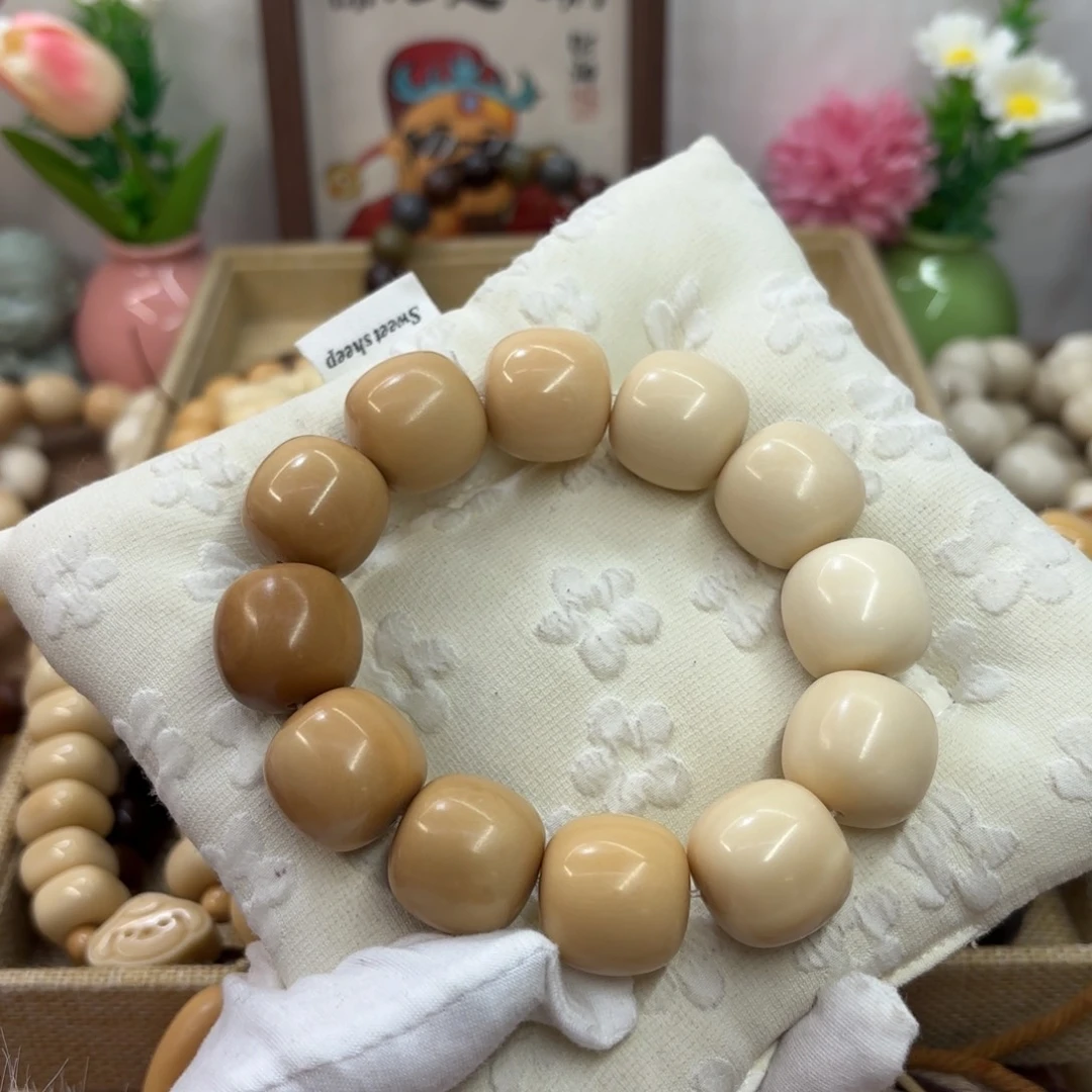 吊坠菩提根/象牙果21+干磨牙果渐变桶926