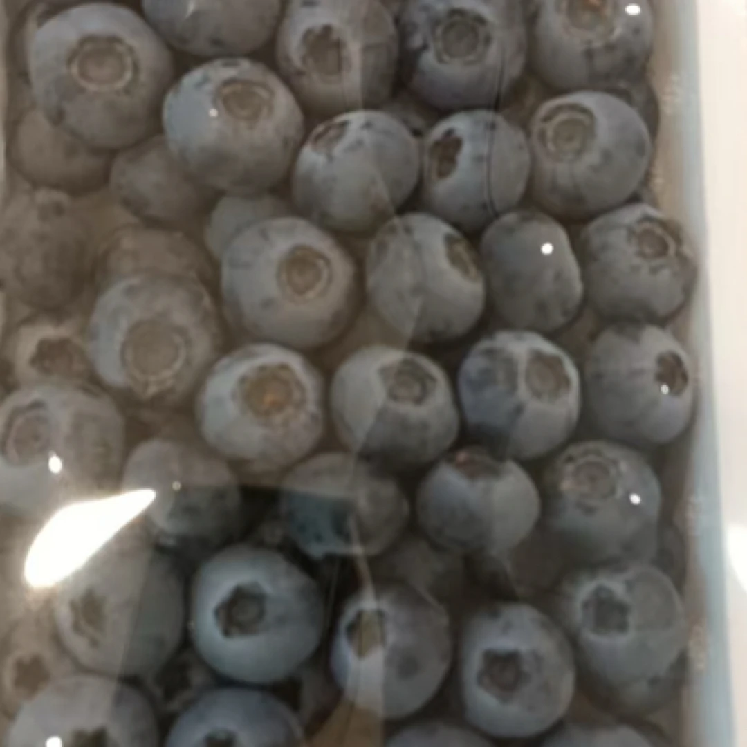 〖山东大粒23mm-26mm〗蓝莓一斤装500克60一盒