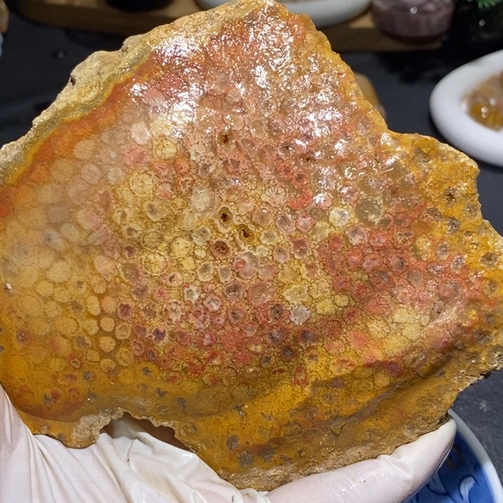 【闪购商品】未镶嵌珊瑚玉硅化玉