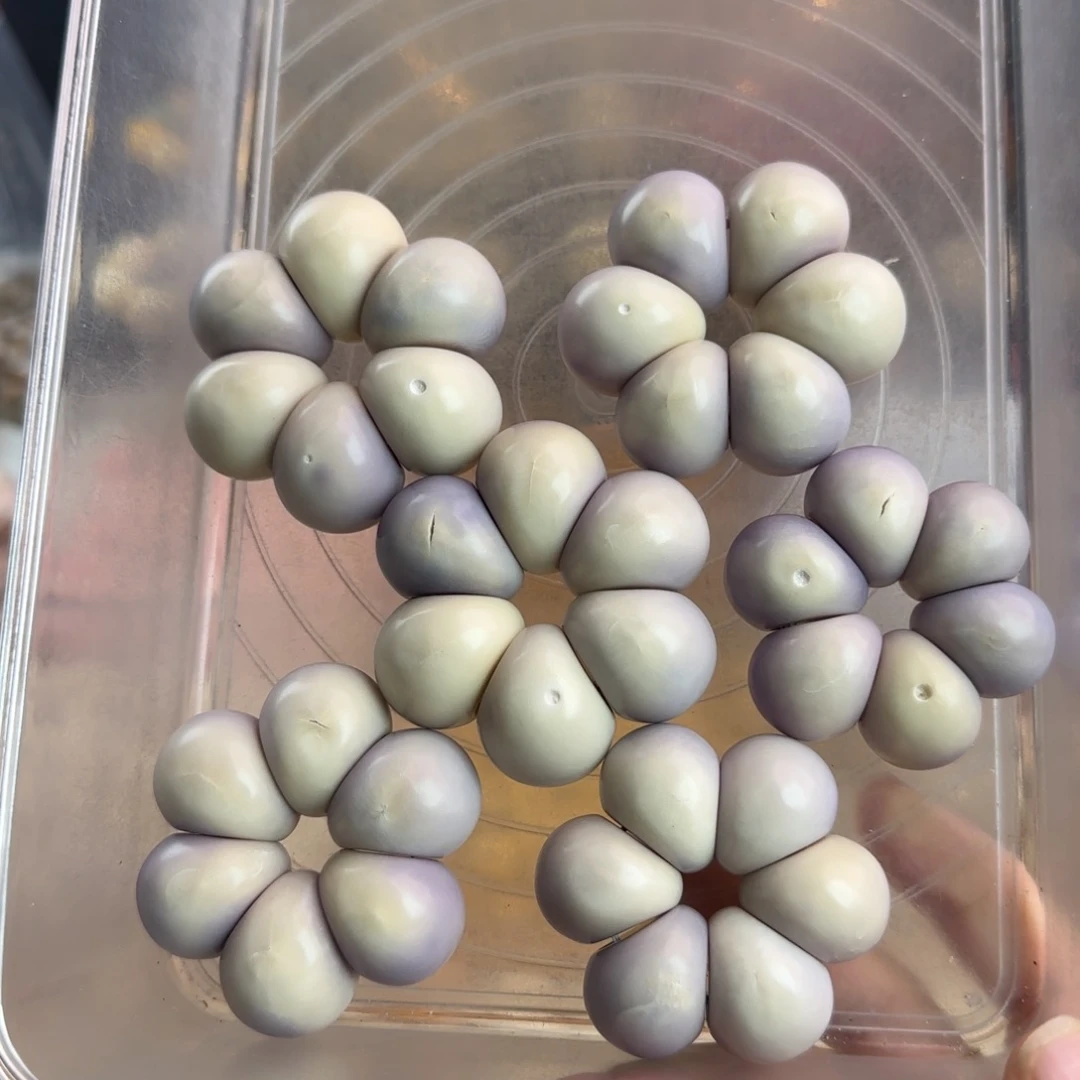 菩提根/象牙果吊坠瑕疵牙果卡21-25紫色飘花手捻6个有裂