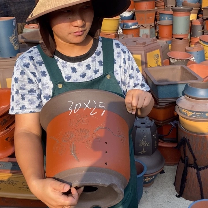 紫砂花盆盆栽花卉苗木种植