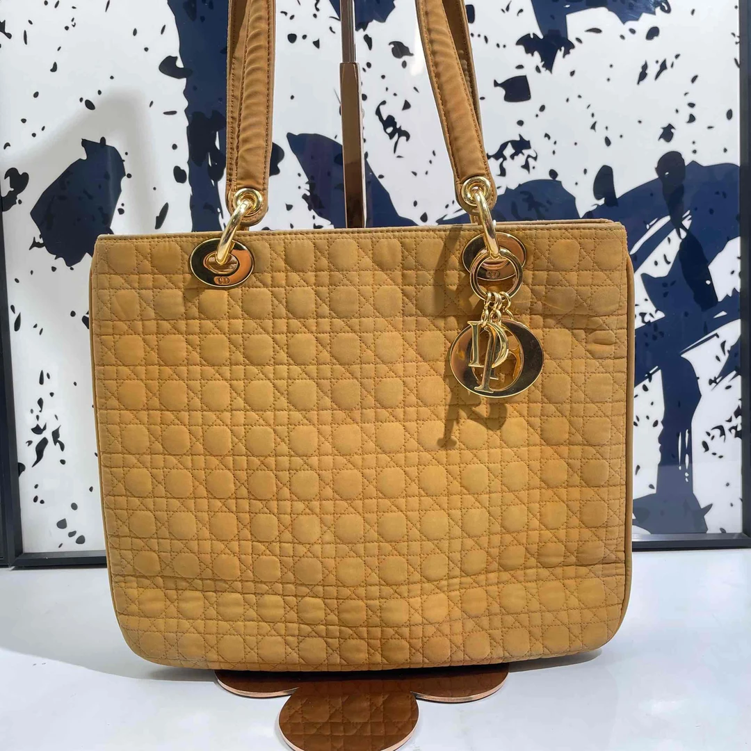 95新  小野专属/95新/迪奥/单肩包/DJ6669