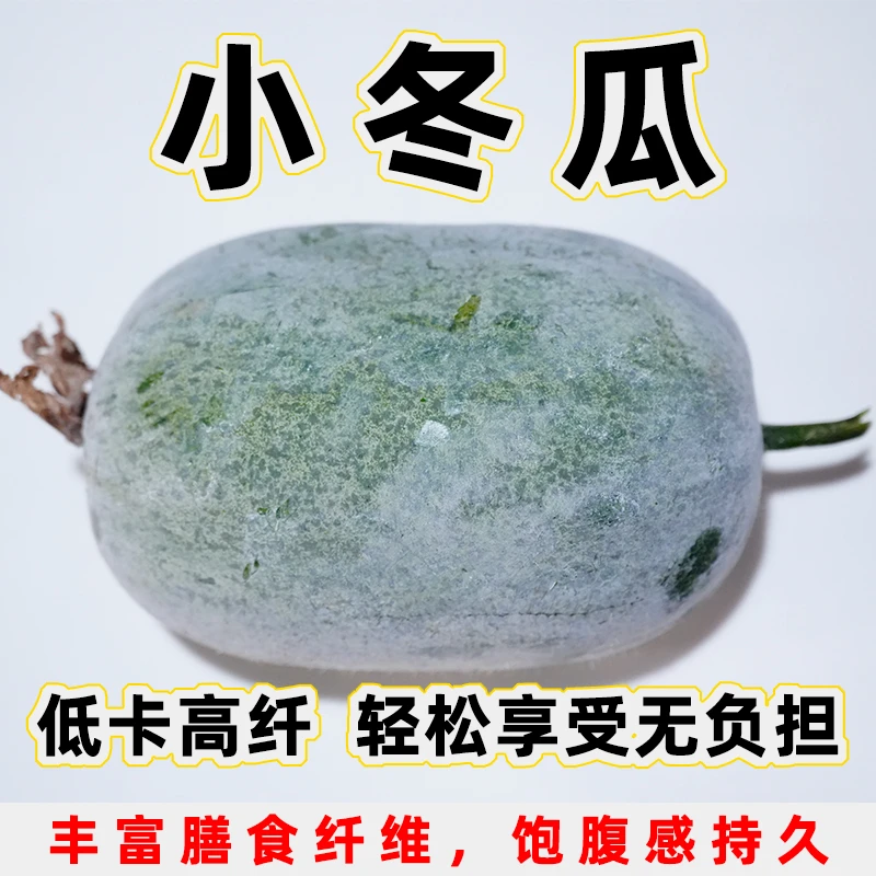 云南小冬瓜新鲜时令蔬菜2斤小香冬瓜云南特产农产品基地现摘现发