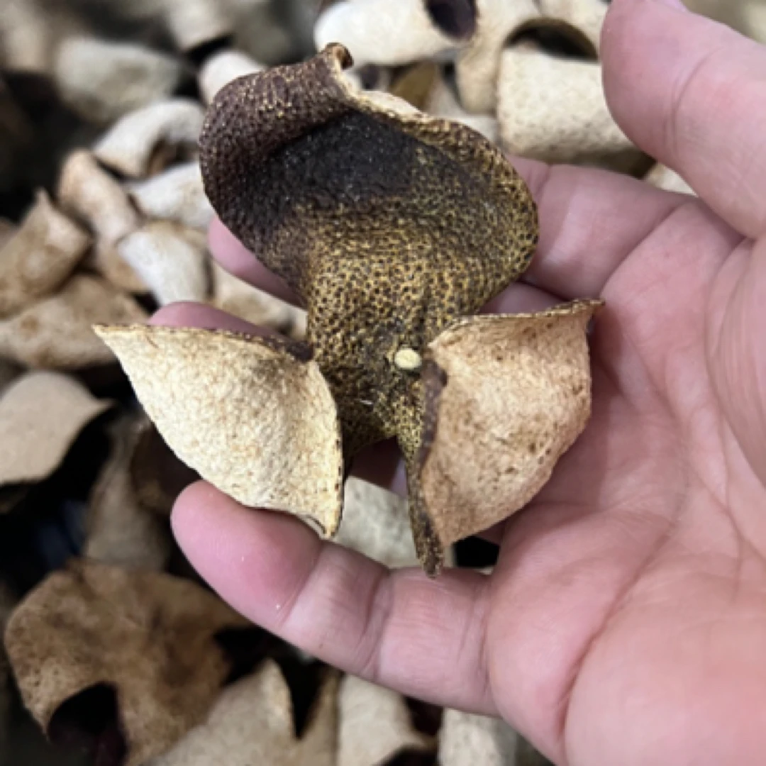 lianglaobo/良老伯梅江圈枝2019二转大红陈皮100克250克500克