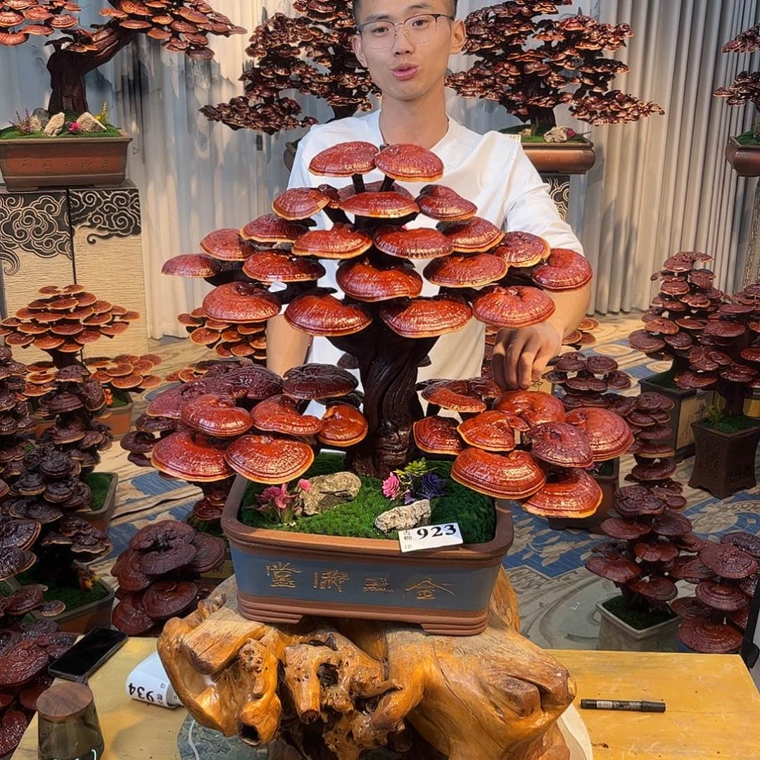 无花朵888888888888