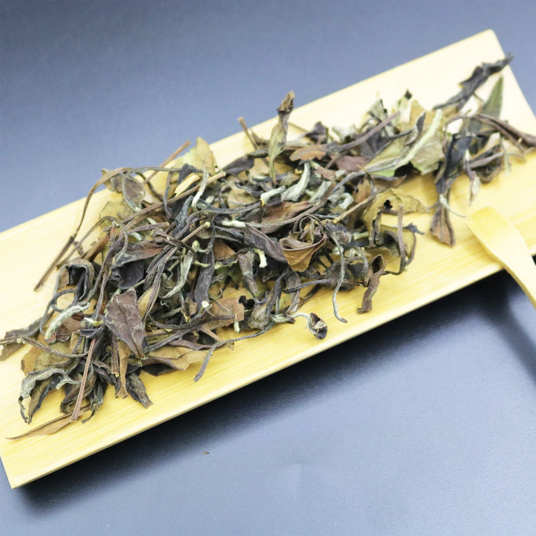 【等盏茶】2025年 貓耳朵 白茶 雲南白茶  散茶