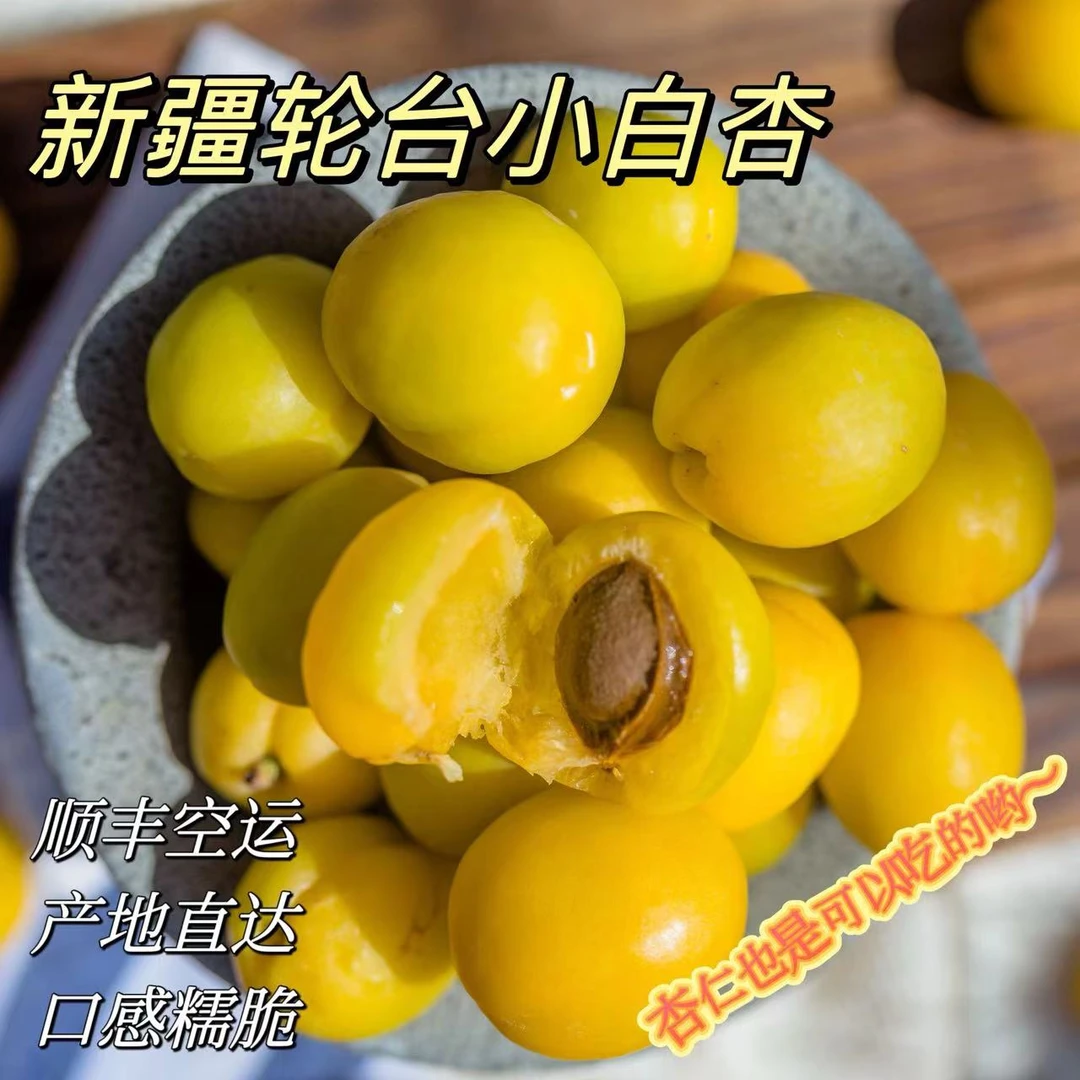 【顺丰空运 优先挑黄的吃】新疆轮台小白杏净重3斤产地直发双仓发货