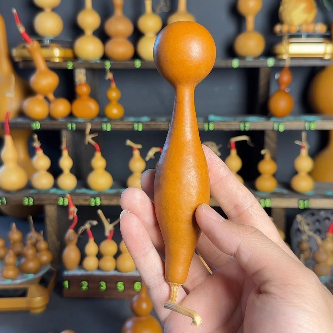 小****塔葫芦葫芦葫芦葫芦葫芦葫芦葫芦