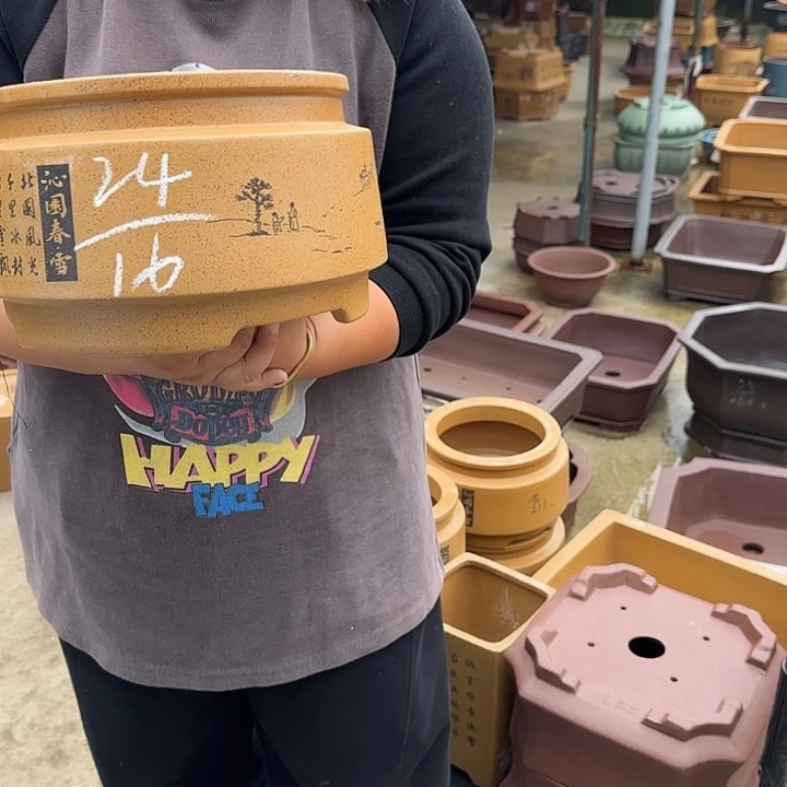 紫砂花盆发广告广告广告都