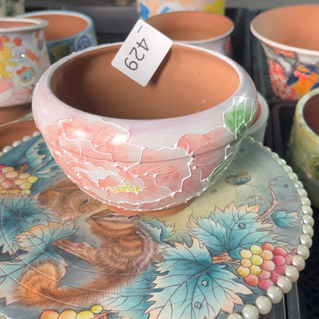 梦*429多肉花盆1个