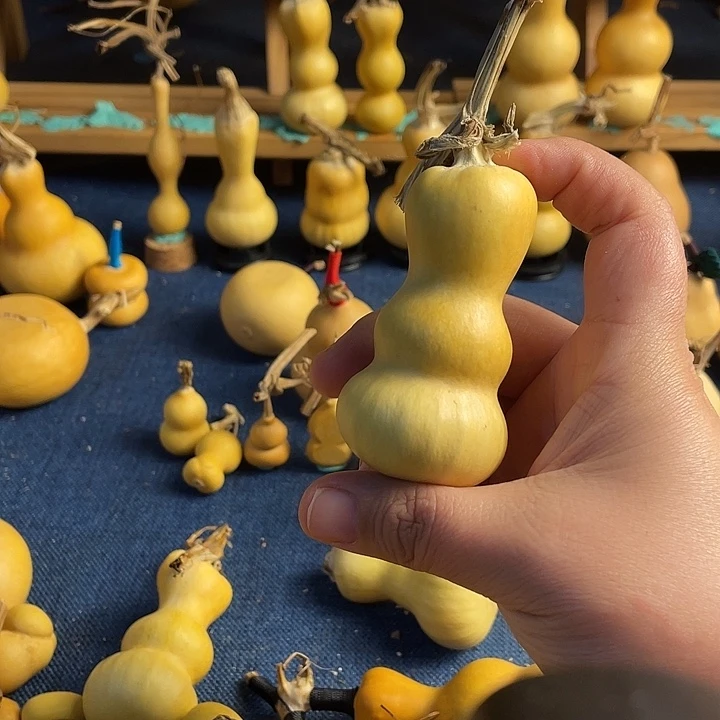 浊***生11111111111111111111