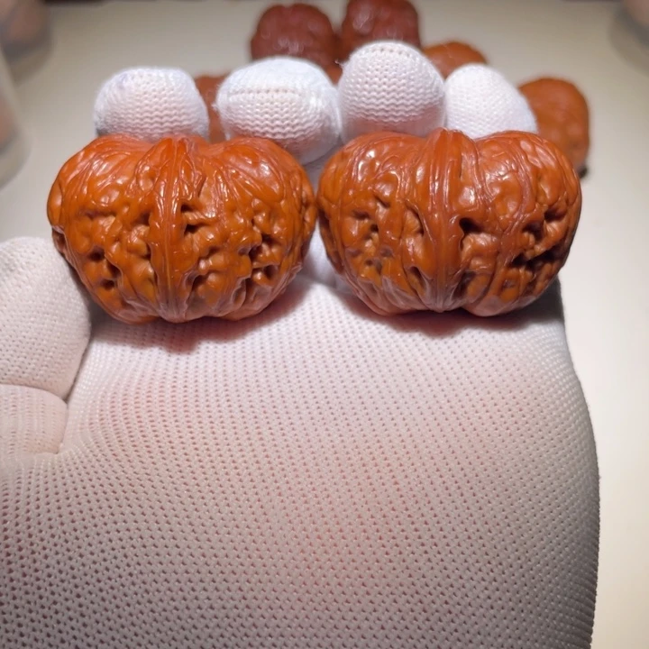 元宝真好啊吧我05