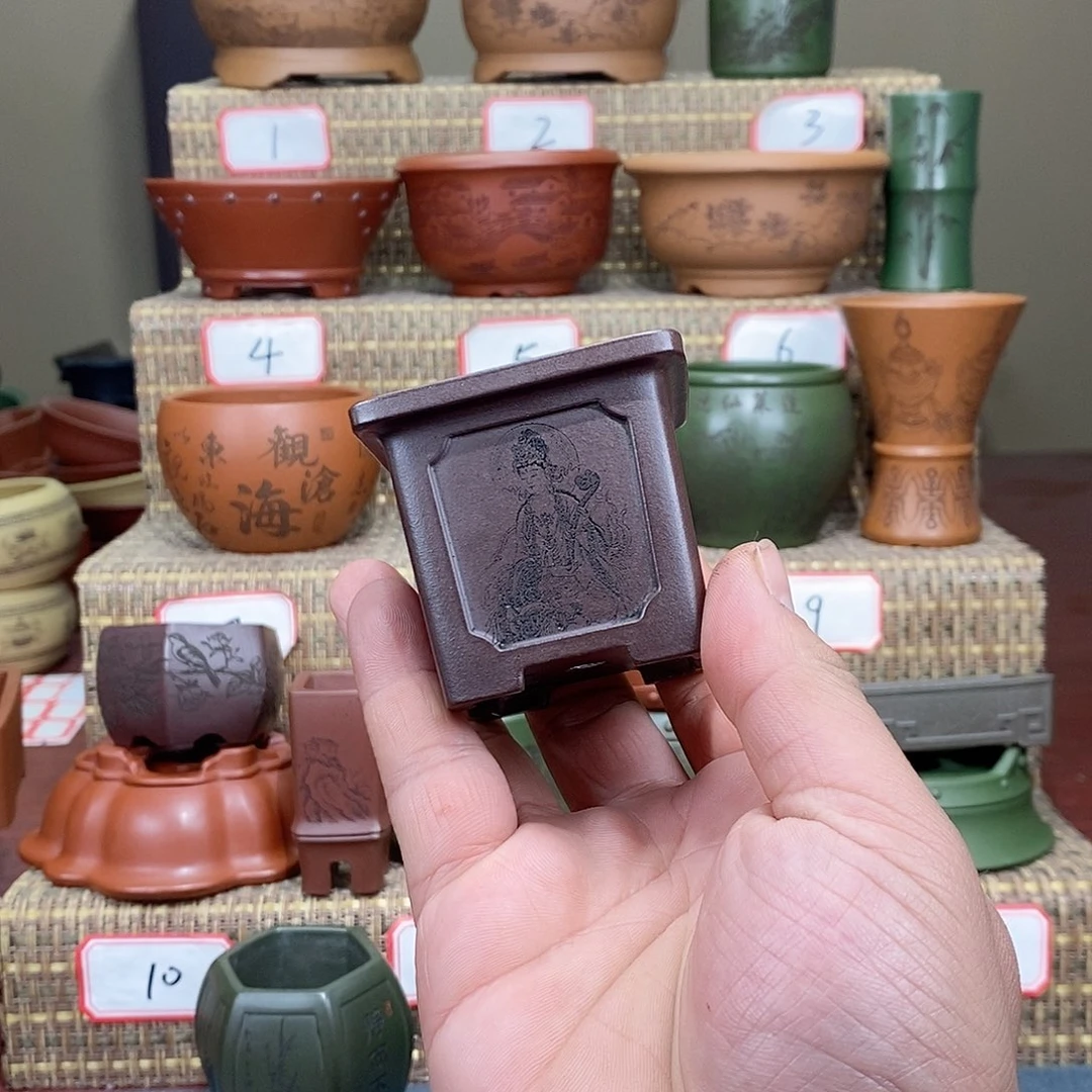 紫砂花盆在看书啊