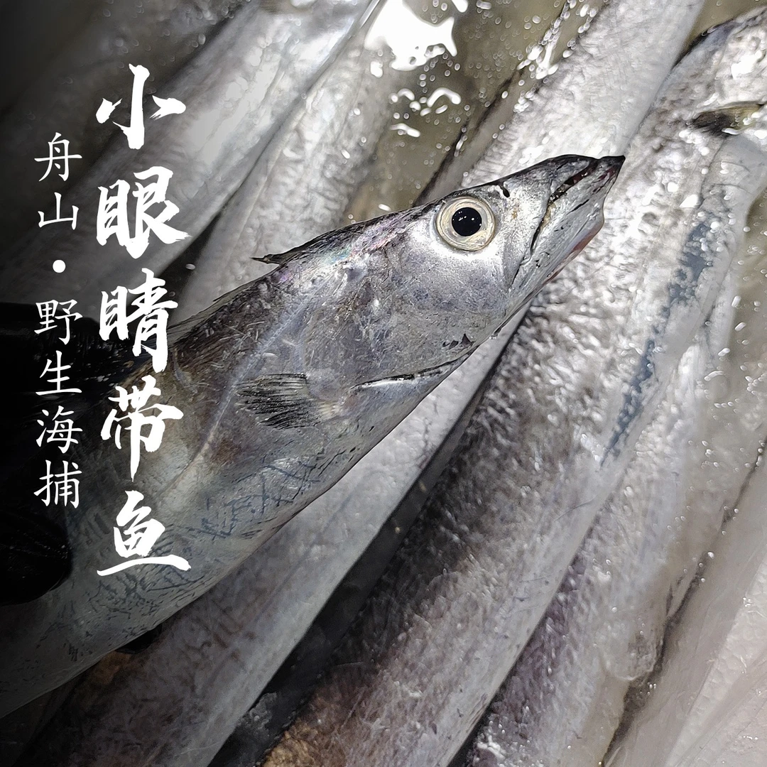 舟山带鱼小眼睛带鱼油带东海新鲜带鱼整条发货