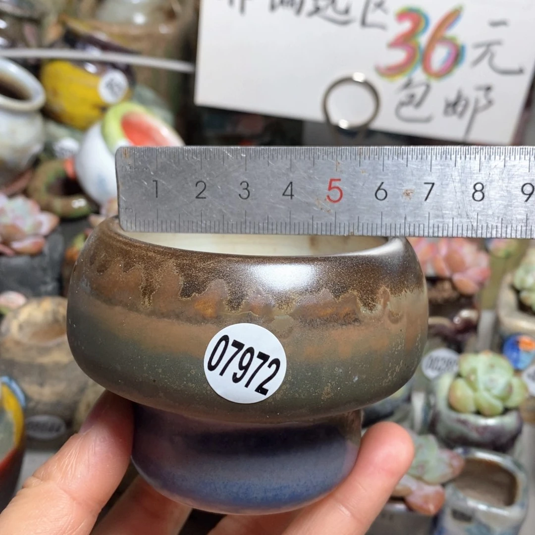 花盆拍5送一个小礼物