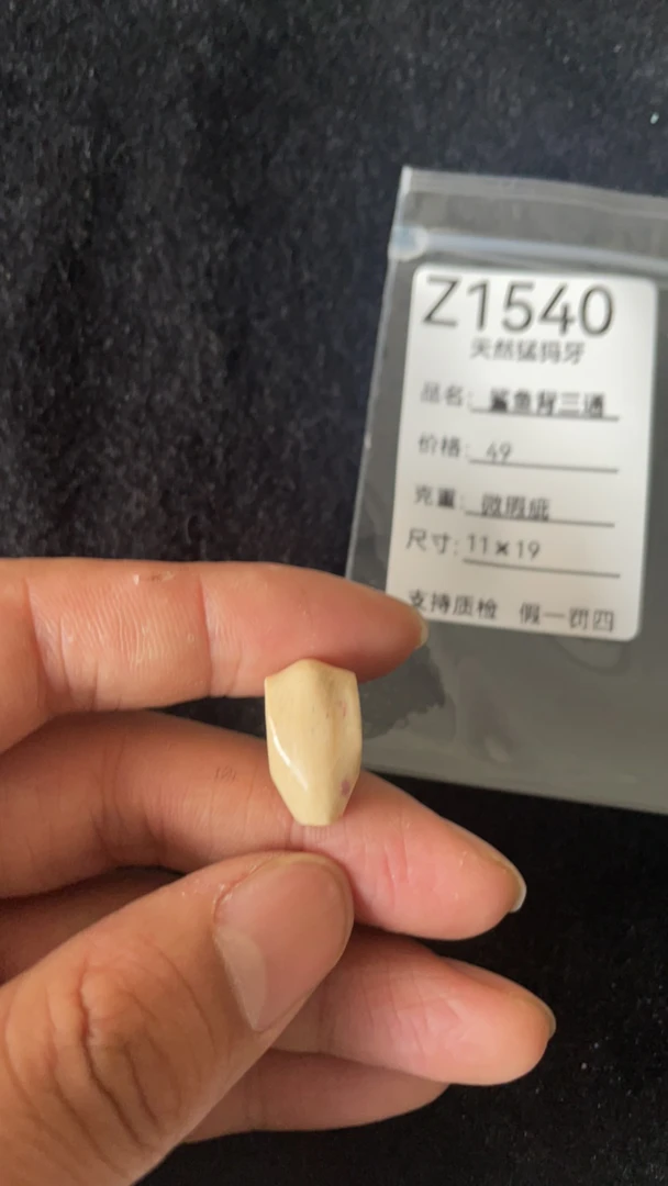 Z1540天然猛犸牙鲨鱼背配饰三通皮裂微瑕疵