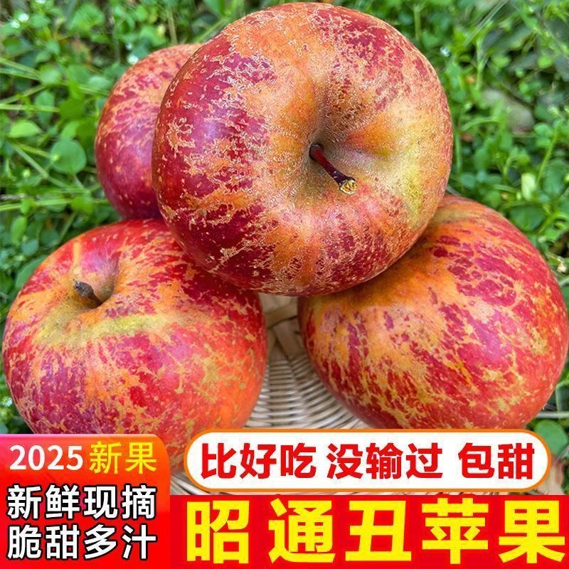【红露丑苹果】云南昭通红露冰糖心丑苹果应季水果脆甜多汁新鲜采摘