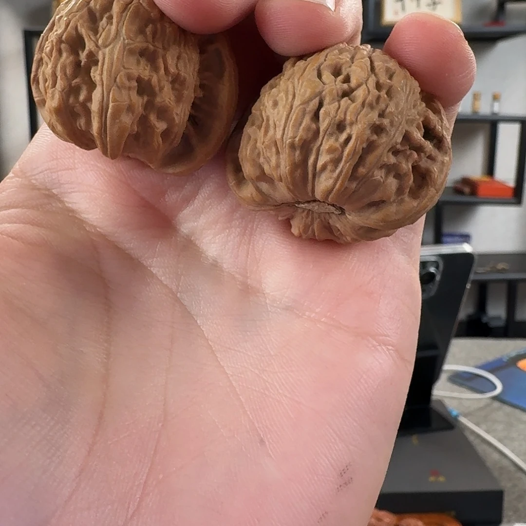 手串文玩核桃D8975白狮子核桃38mm左右