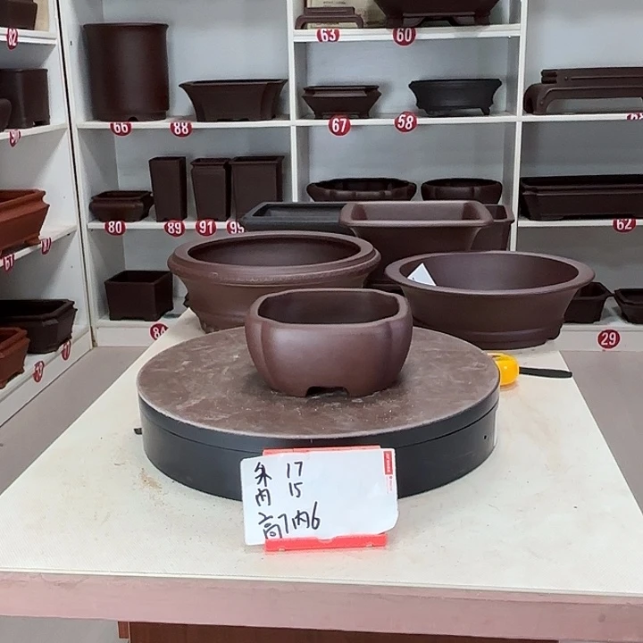 紫砂花盆小小南瓜