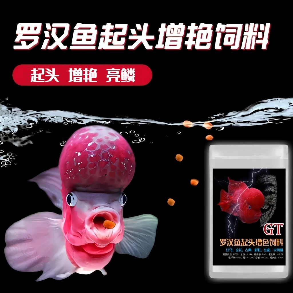 罗汉鱼饲料爆头起头增艳鱼食小颗粒高蛋白上浮型攻头增色罗汉鱼粮