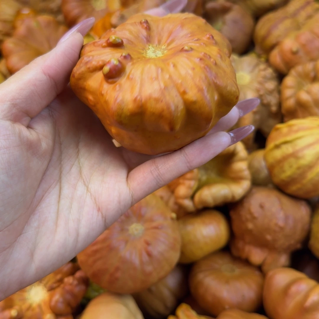 ****动饿哦饿哦饿哦饿哦