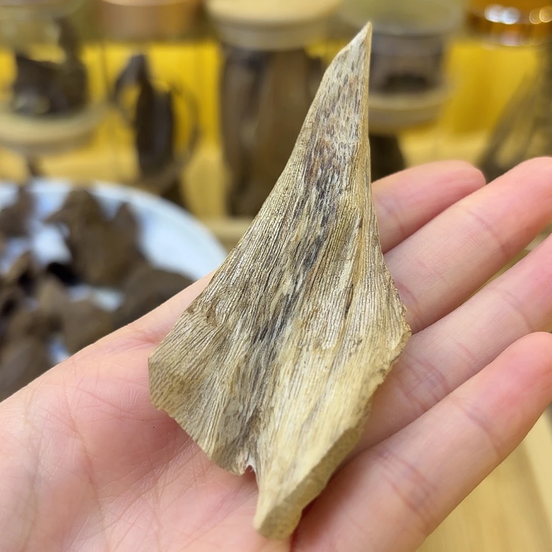 海南沉香树根老料5.4克