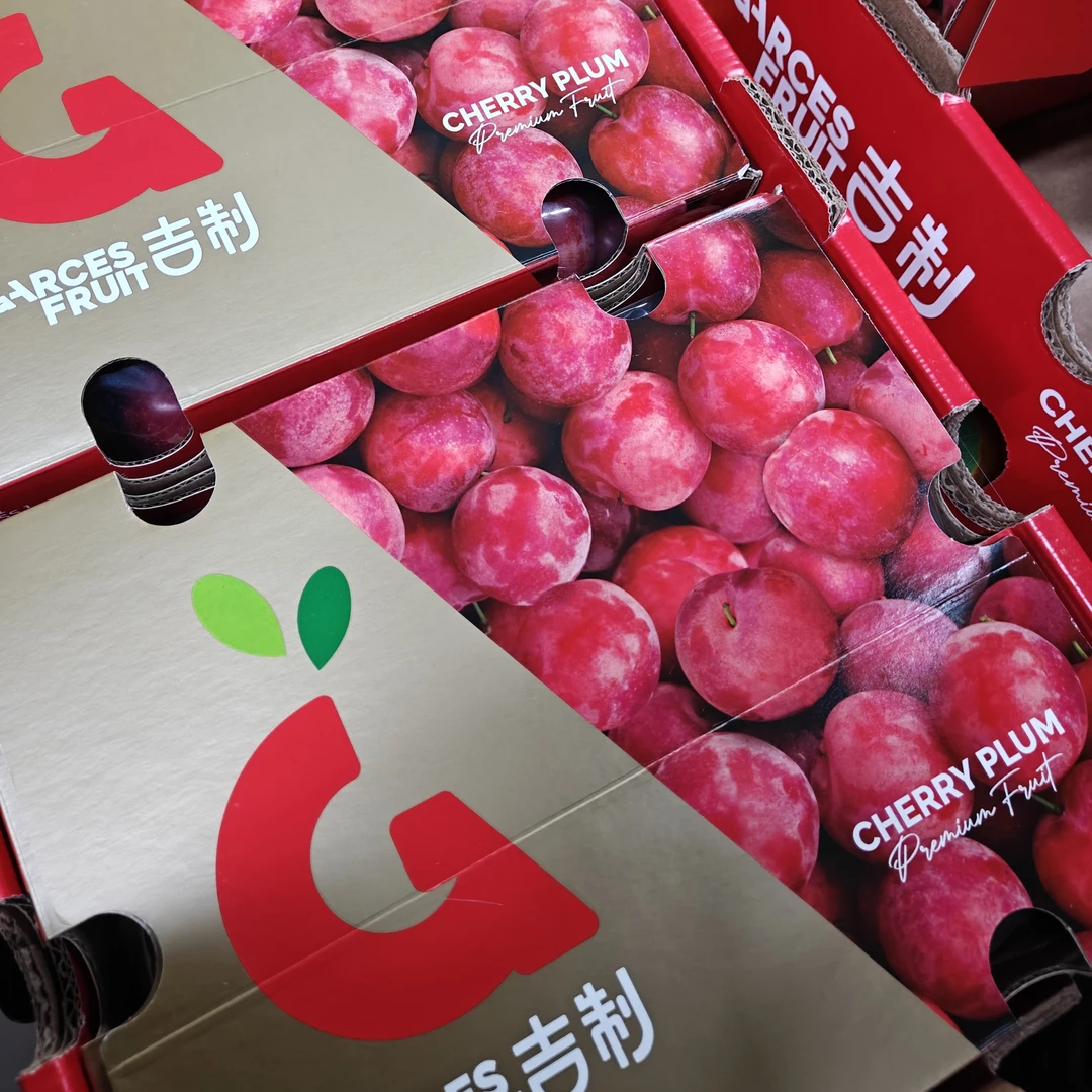 （4J樱桃李）吉制大G新鲜现货超级果王智利进口海运樱桃李顺丰包邮