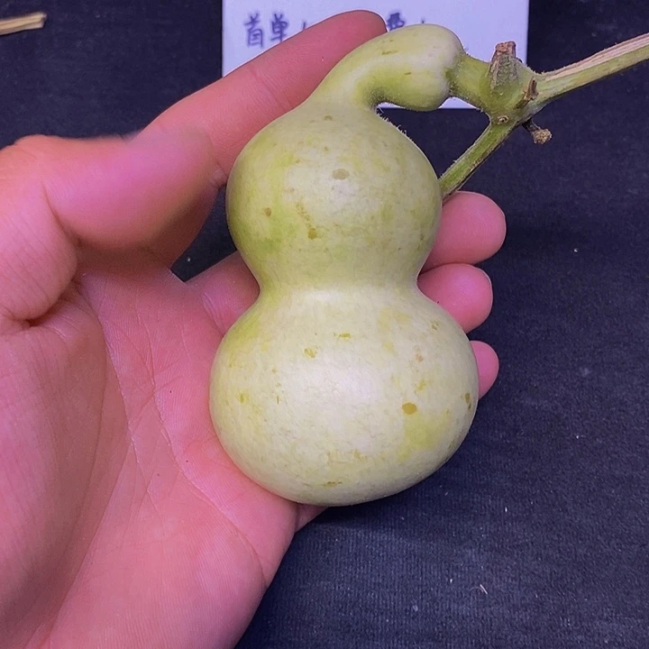 睡****5哈哈哈哈哈哈哈哈哈哈哈哈
