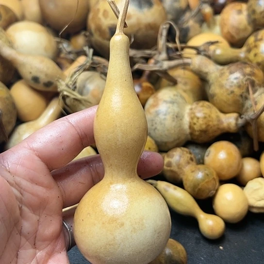 ꧁**꧂葫芦葫芦葫芦葫芦