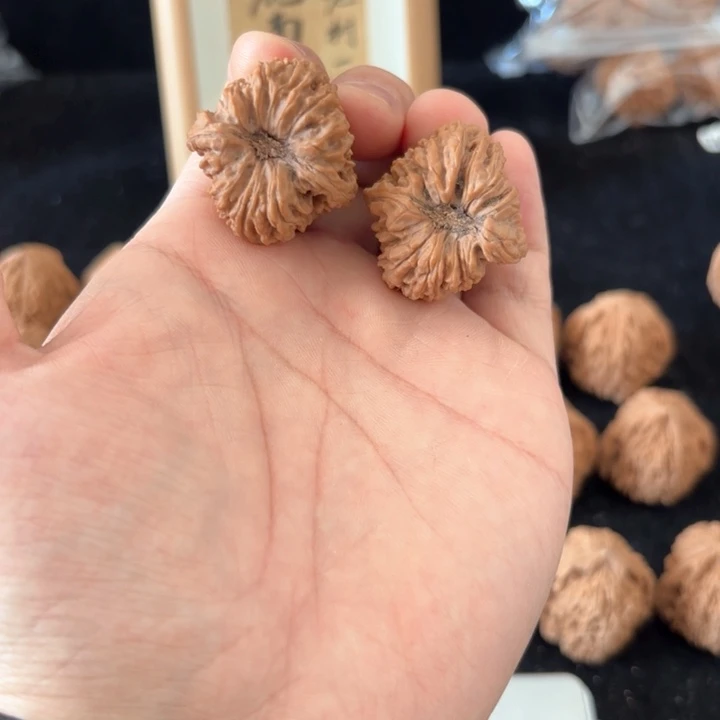 文玩核桃吊坠果***果南将