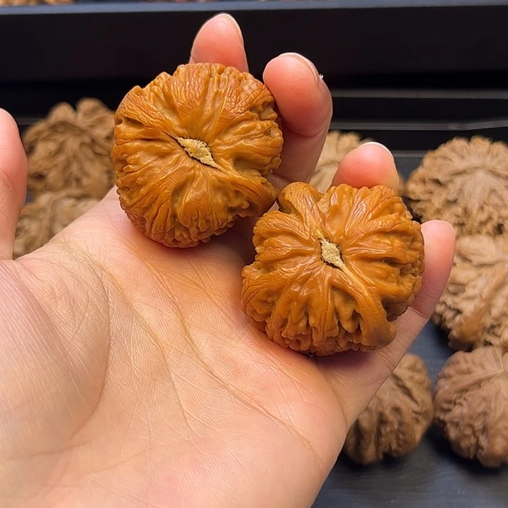 核桃秦岭突突突突突突60