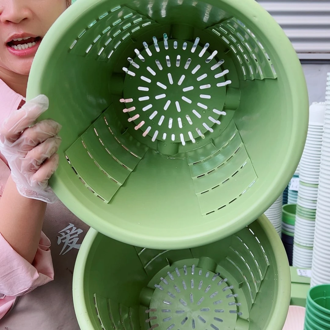 玫瑰320#果绿色5个无托