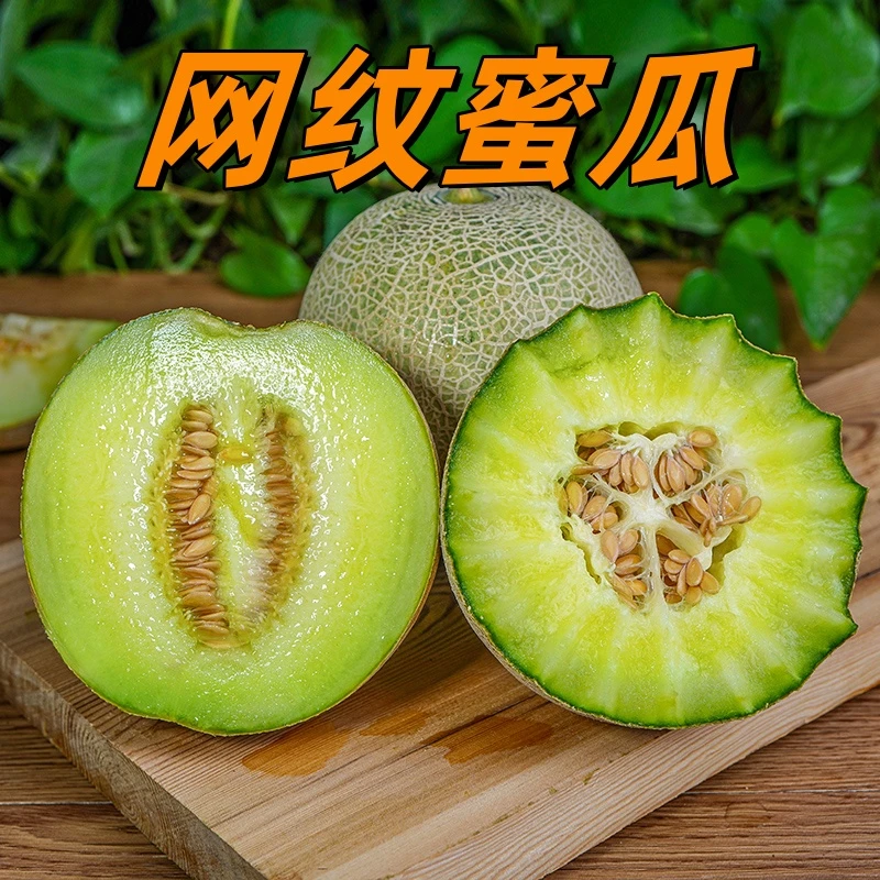 网纹瓜哈密瓜玫之珑蜜瓜冰淇淋甜瓜新鲜采摘水果蜜甜瓜哈蜜瓜