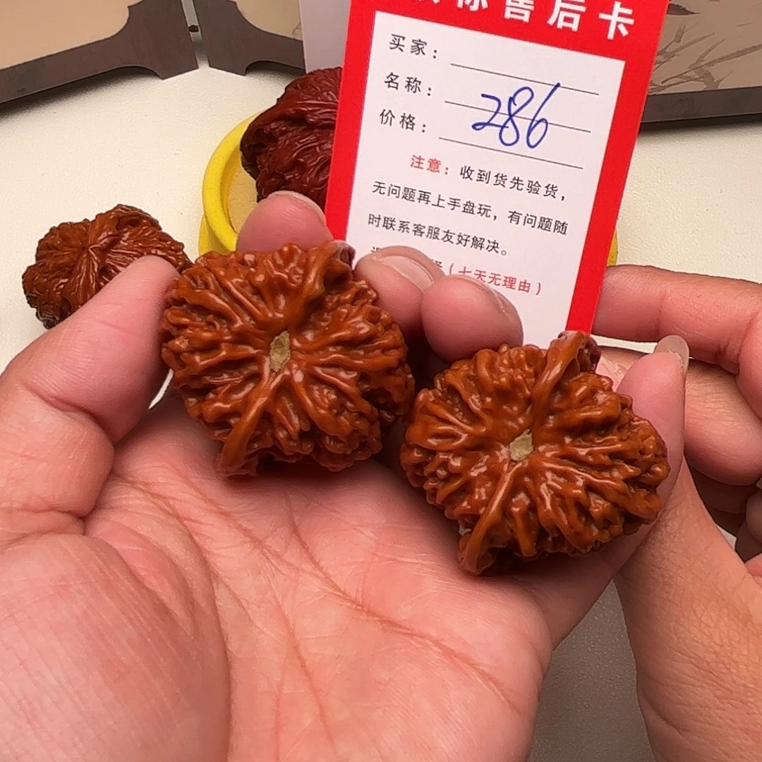 286。40。    满天星