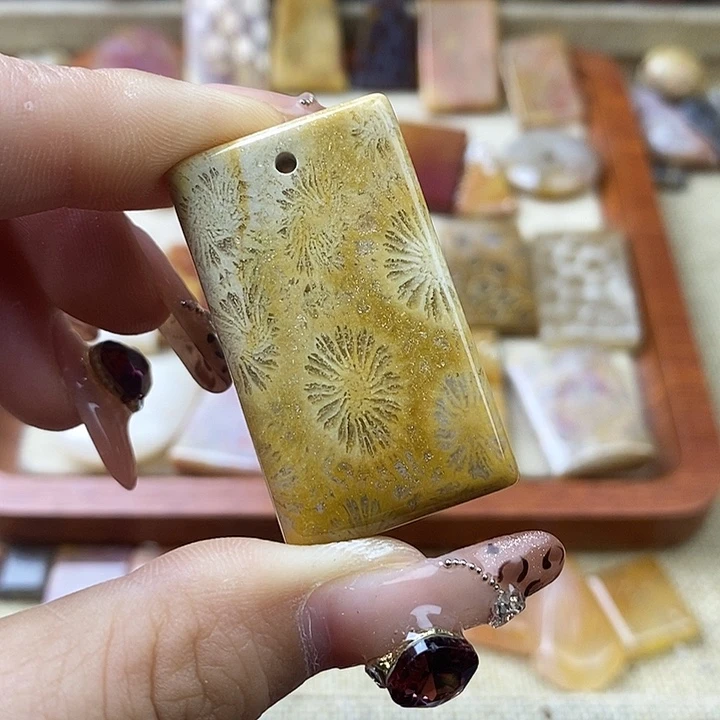硅化珊瑚（珊瑚玉）未镶嵌颈饰