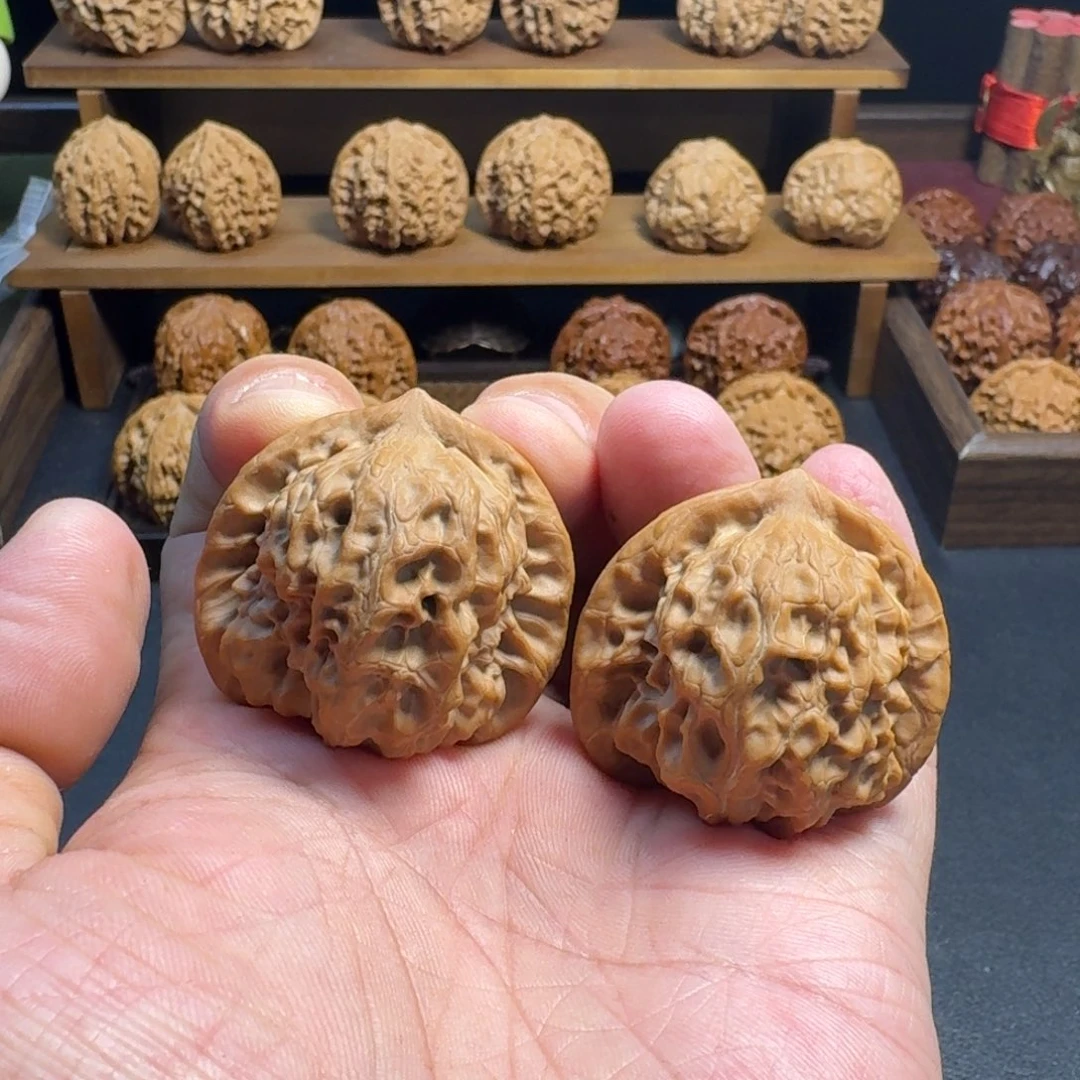 核桃手串/手链白蛇骨核桃 尺寸39