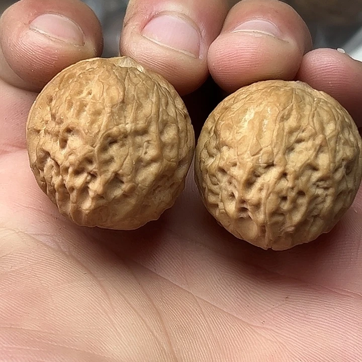 文玩核桃把件1号小圆球35尺