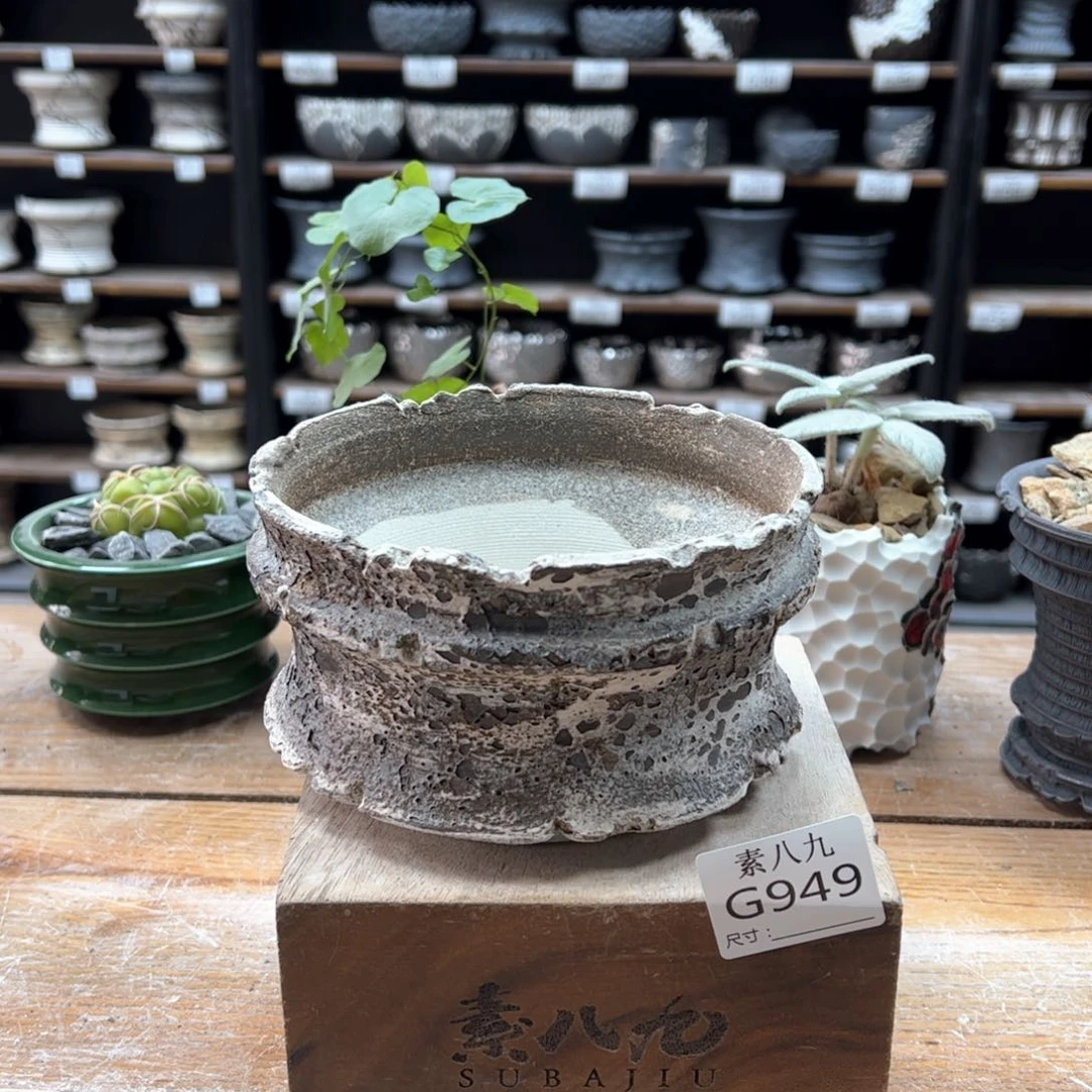 素八九陶瓷内口14高8.5