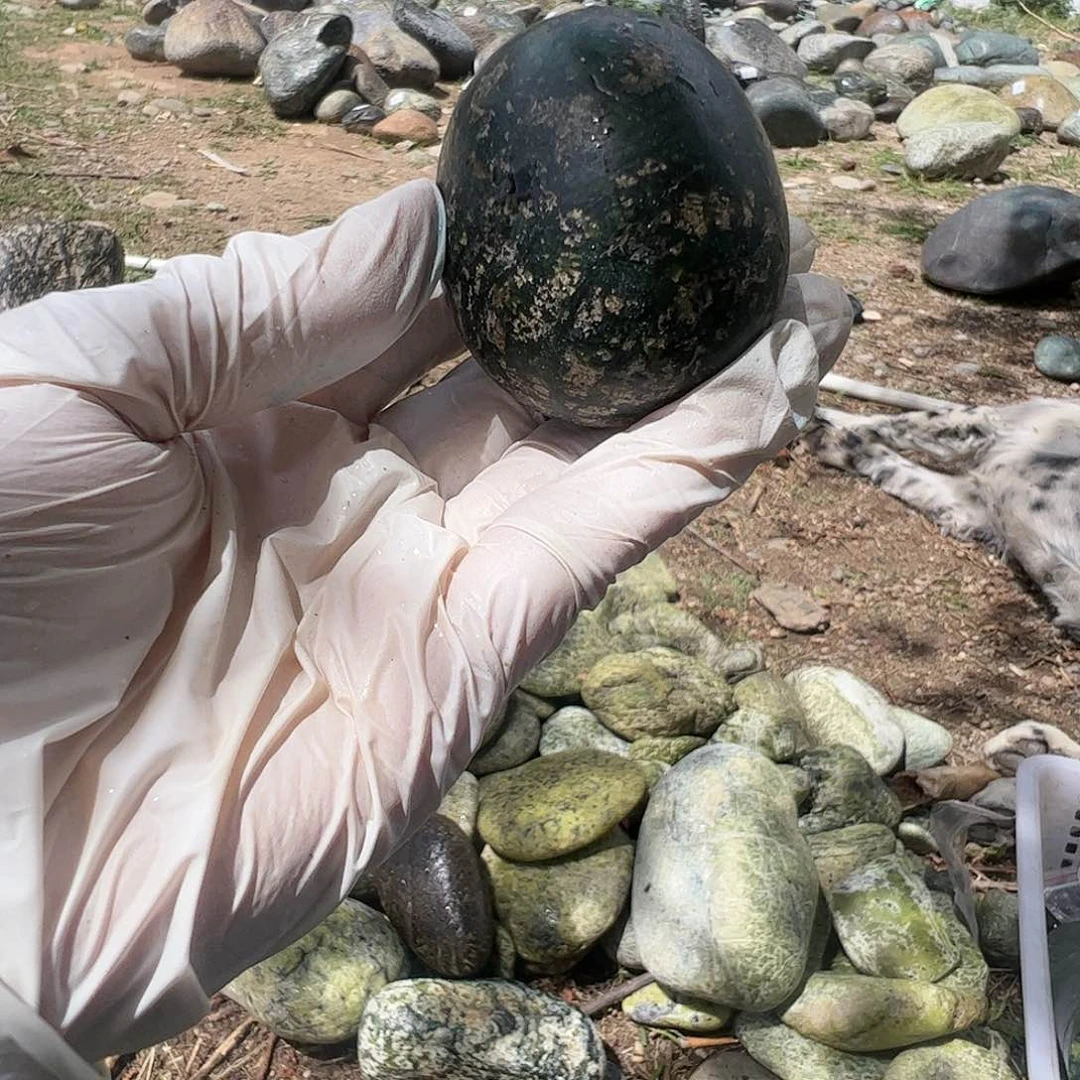 蛇纹石玉合金珠宝奇石幸**康